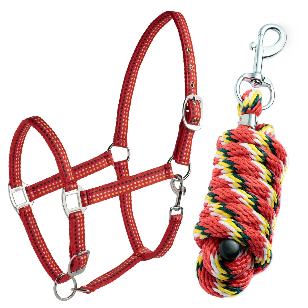 Набор недоуздок + чумбур "Daslo"