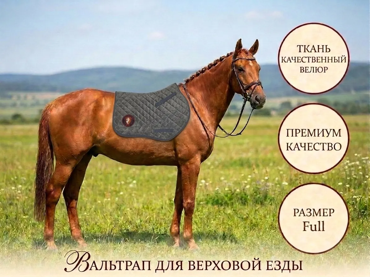 Вальтрап