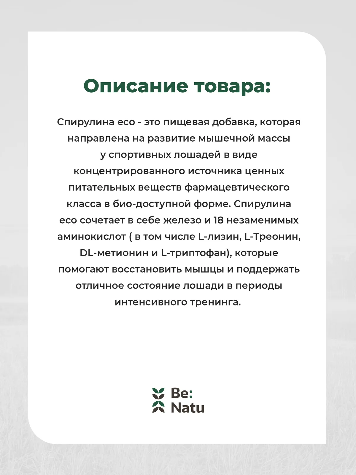 Спирулина Eco 1кг