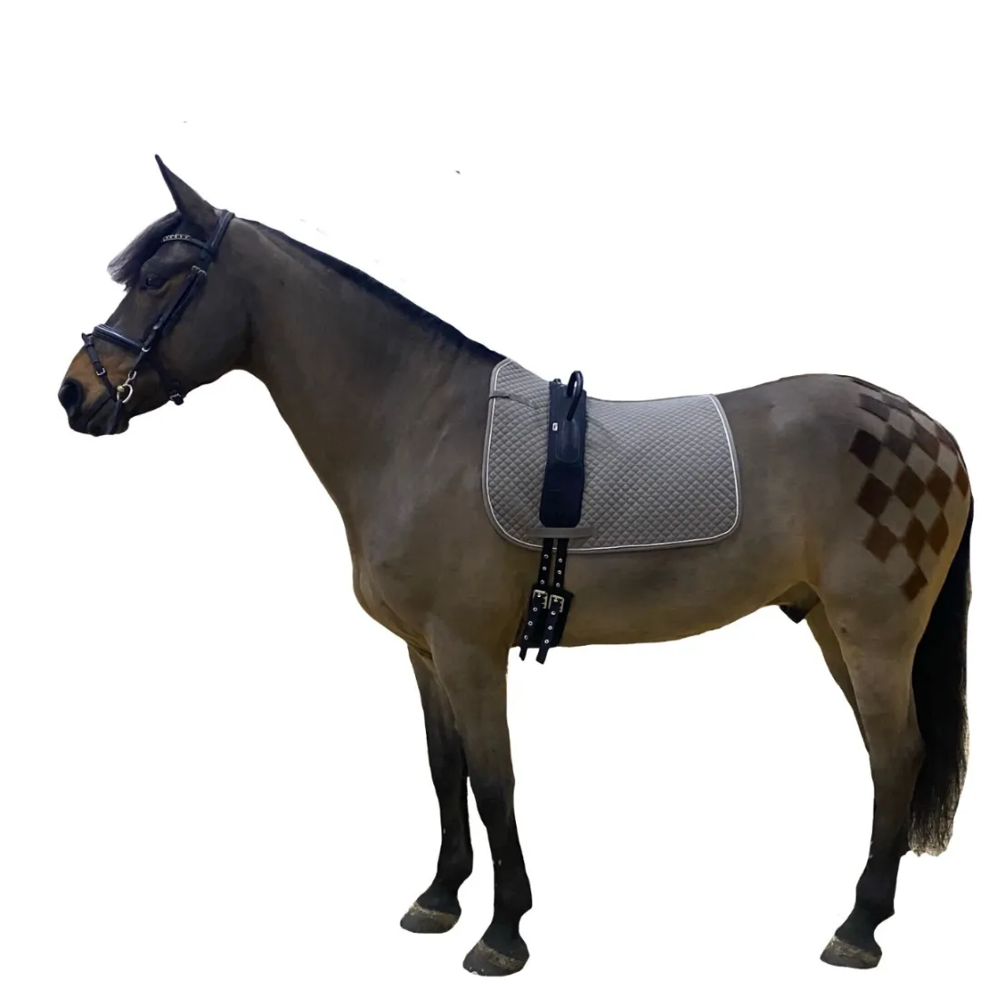 Гурта с двумя мягкими ручками