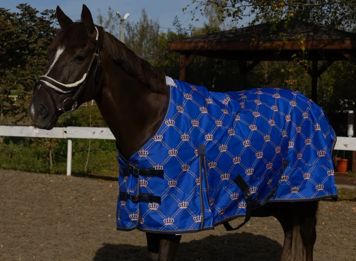 Дождевая попона CROWN HorsePlanet 50grm
