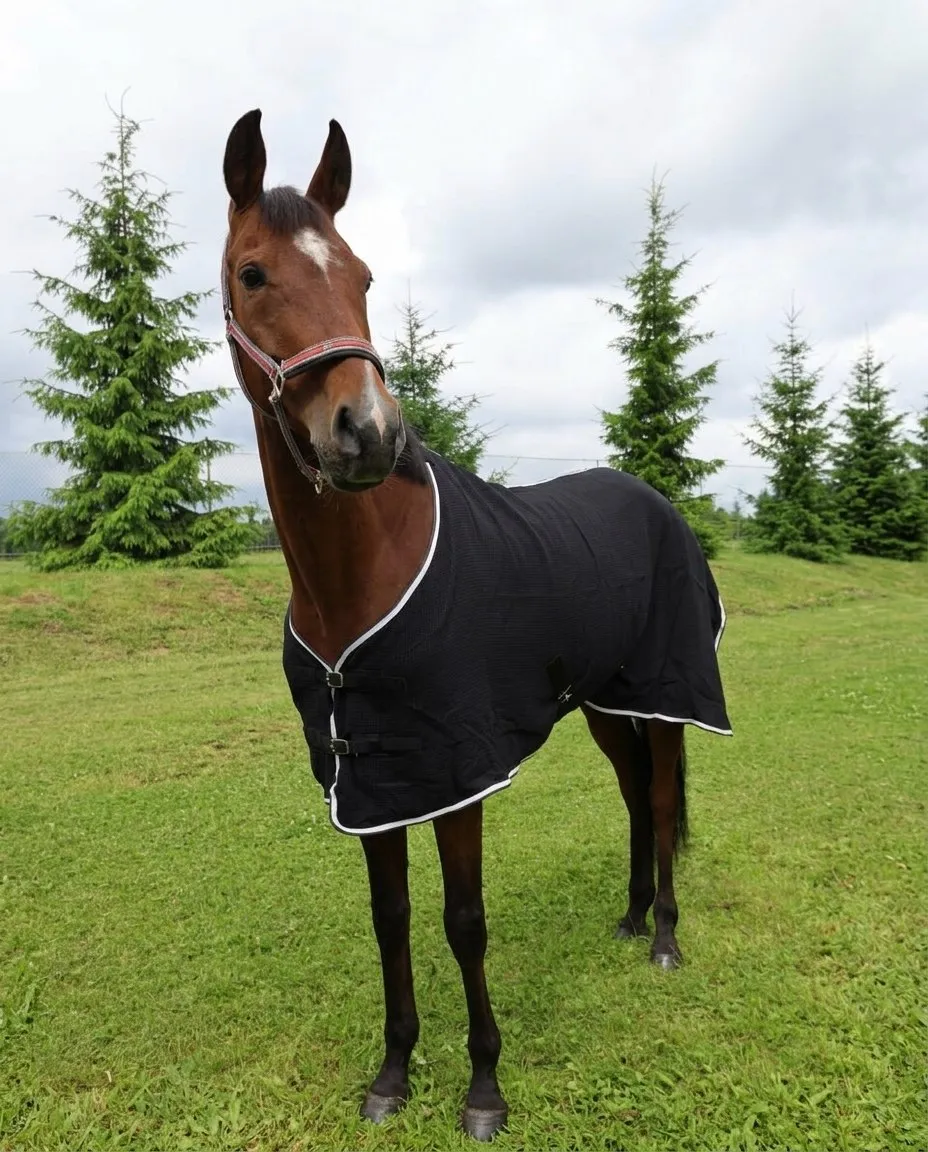 Вафельная попона HorsePlanet