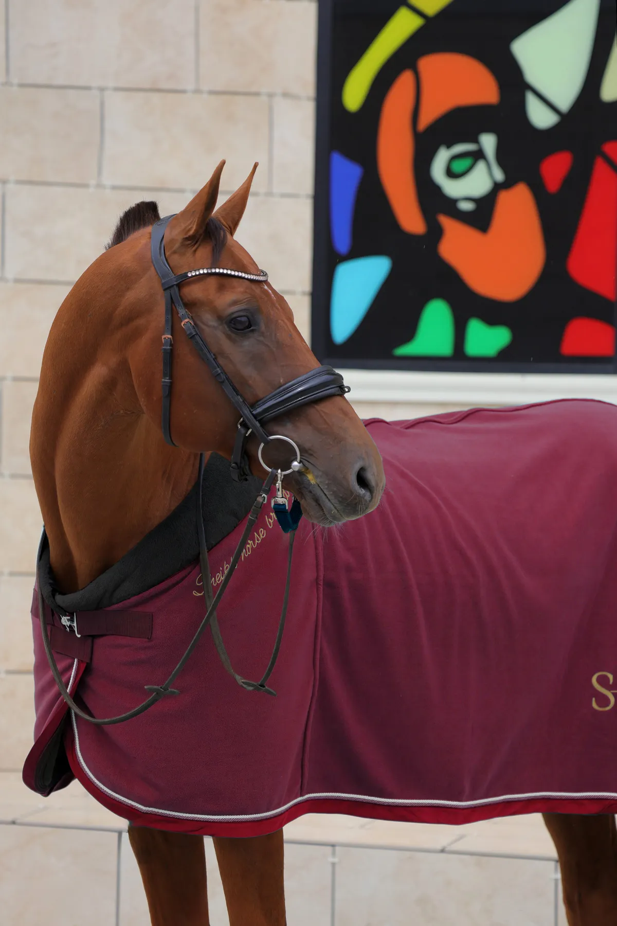 Попона SHEIKH HORSE BRAND, коллекция ORIENTAL, цвет красный, р-р 135