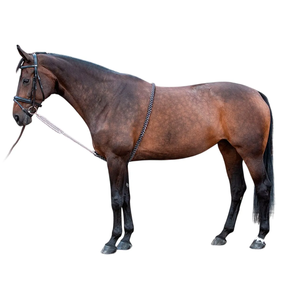 Лонжа мягкая, регулируемая с кольцом, Harrys Horse размер L