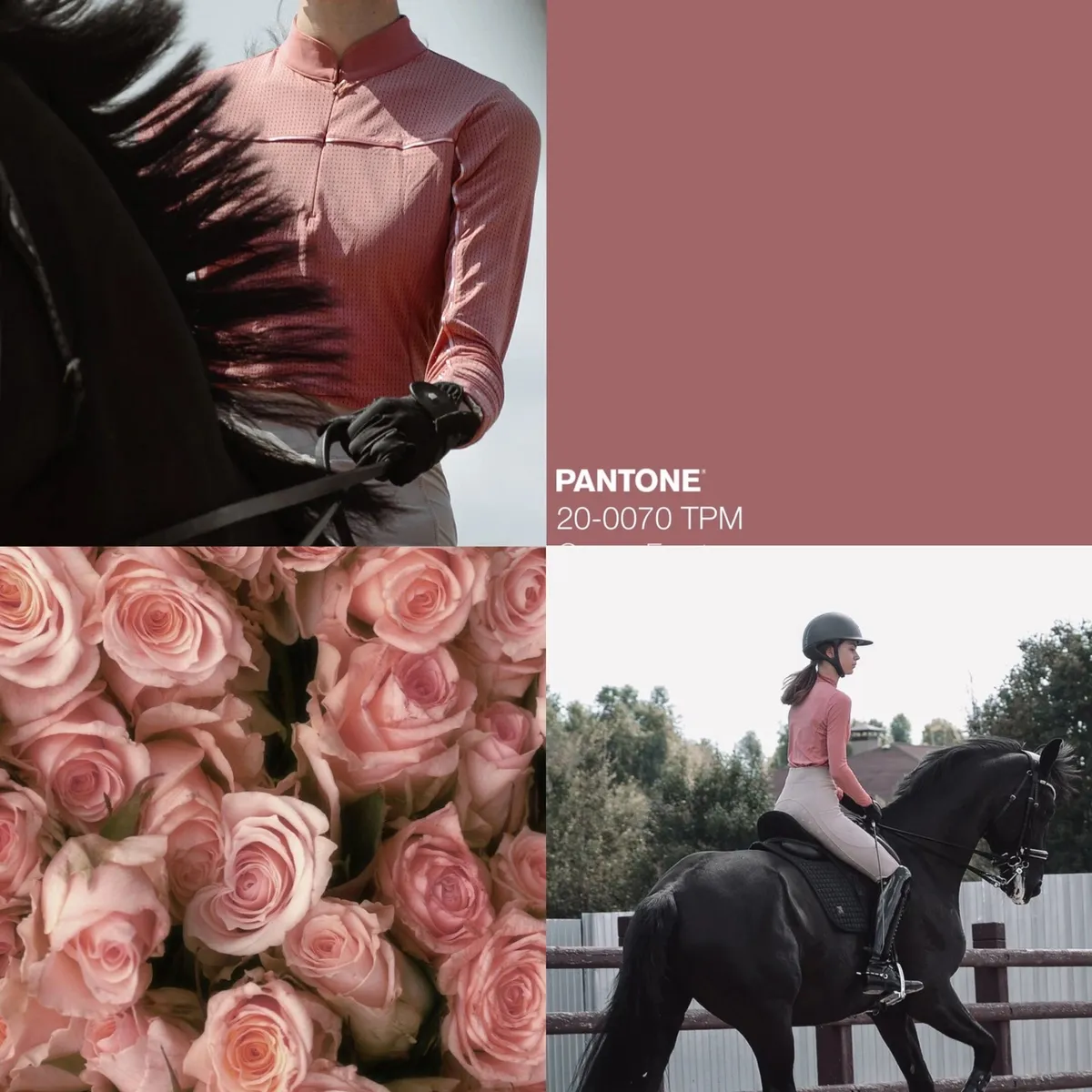 Лонгслив ALIBI Garden