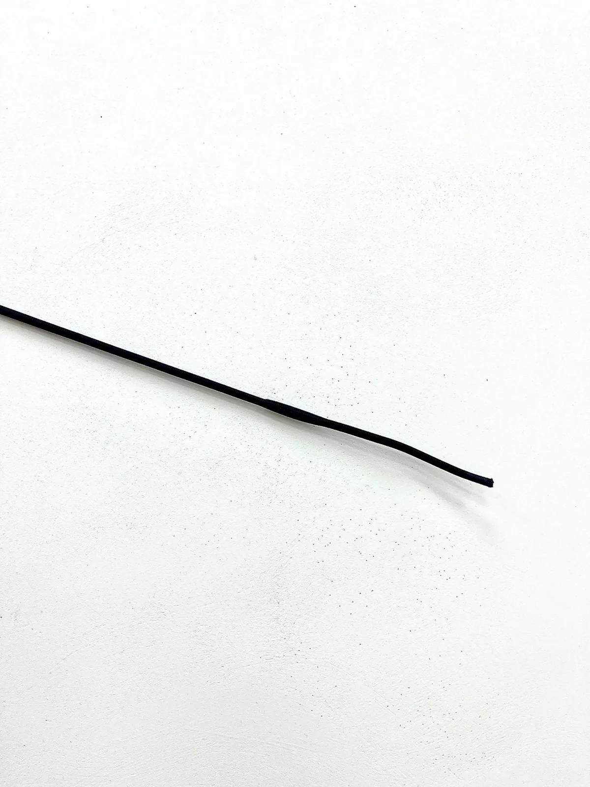 Хлыст выездковый 120 см