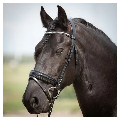 Оголовье Diamond Lacque лакированное, с самозатягивающимся капсюлем и стразами, размер Full, черный