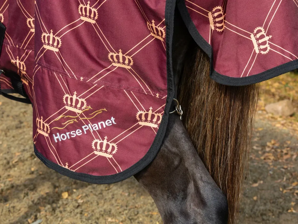 Дождевая попона CROWN HorsePlanet 100grm