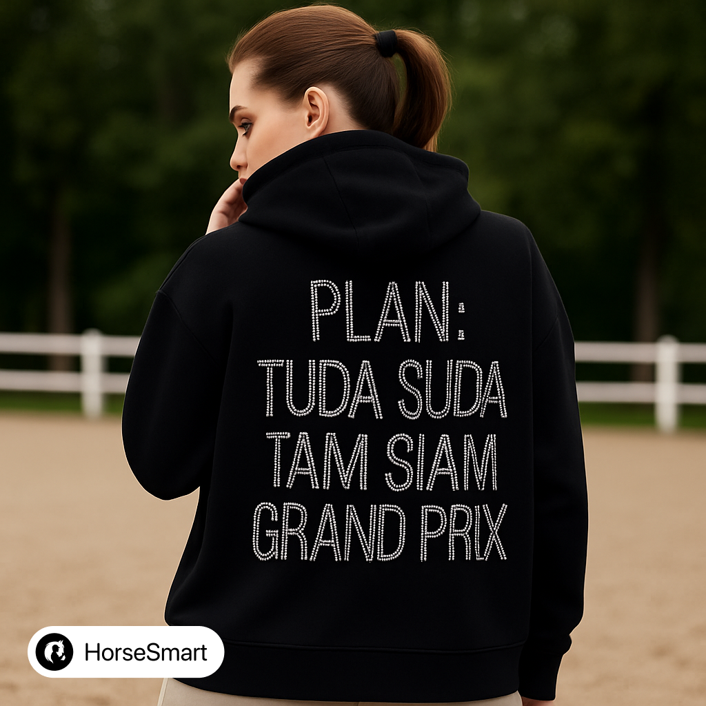 Худи PLAN