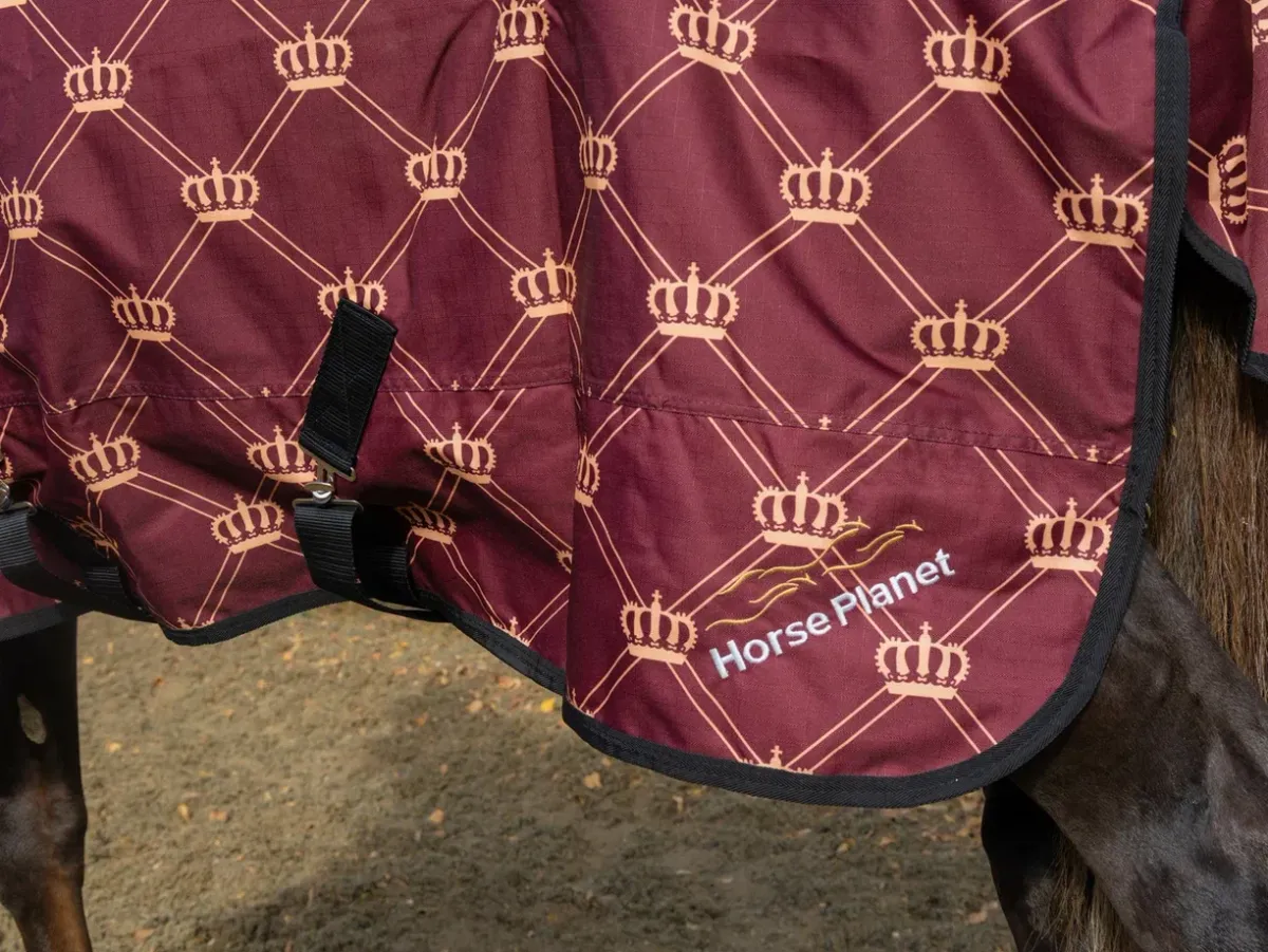 Дождевая попона CROWN HorsePlanet 100grm