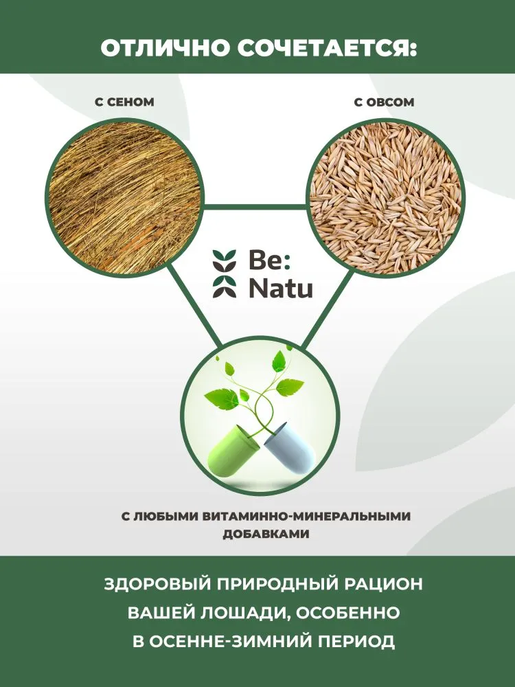 Be:Natu Dessert mix безовсовый десертный микс с овощами, фруктами и ягодами для привередливых лошадей 20 кг