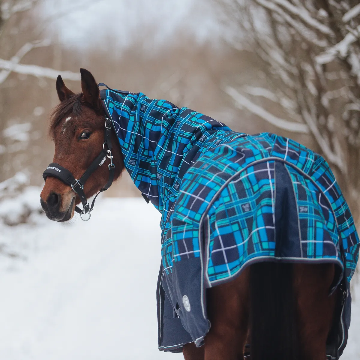 ПОПОНА ПРОГУЛОЧНАЯ OXFORD С КАПОРОМ, 300 ГР, 135см