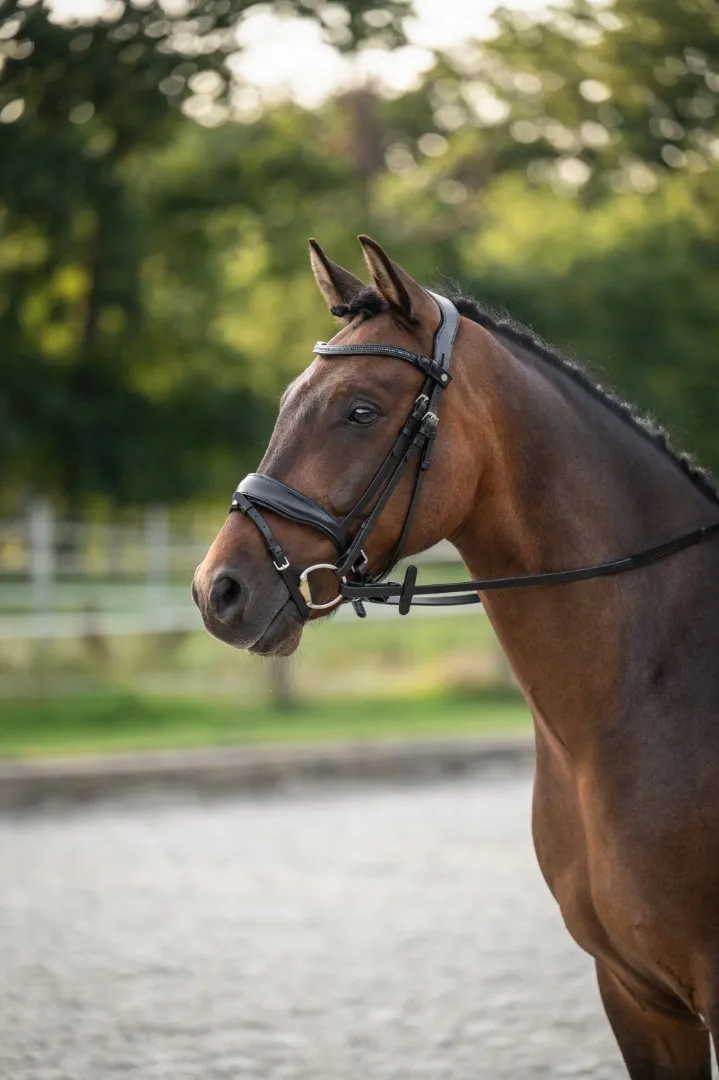 Оголовье IRA