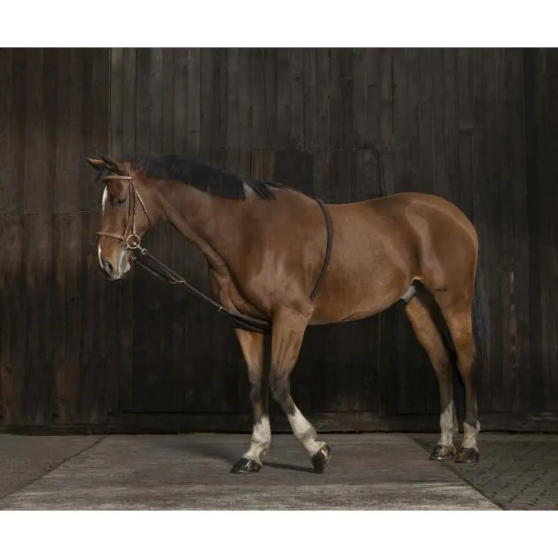 Лонжа веревочная NORTON Ekkia full