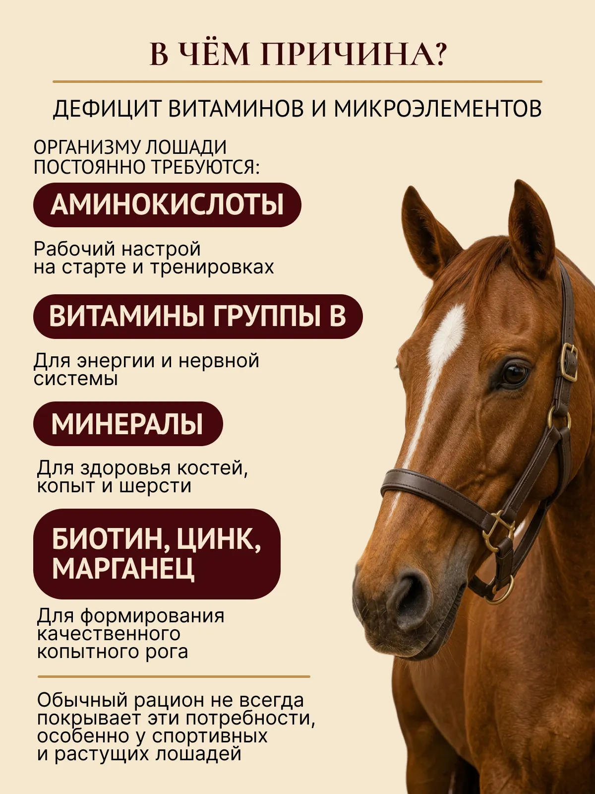 Комплексная подкормка для лошадей "ЭКВИ-ТОНИК"