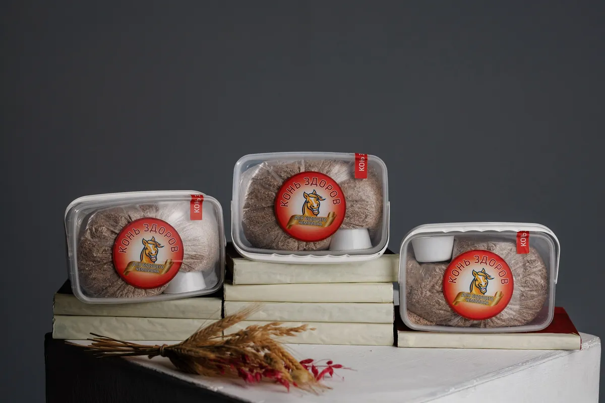 Для Будущих Чемпионов