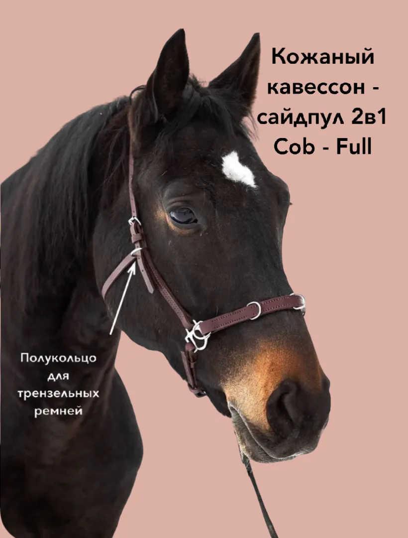 Кавессон Cob - Full