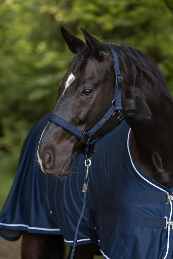 Недоуздок Covalliero c чумбуром S/S25 темно-синий full