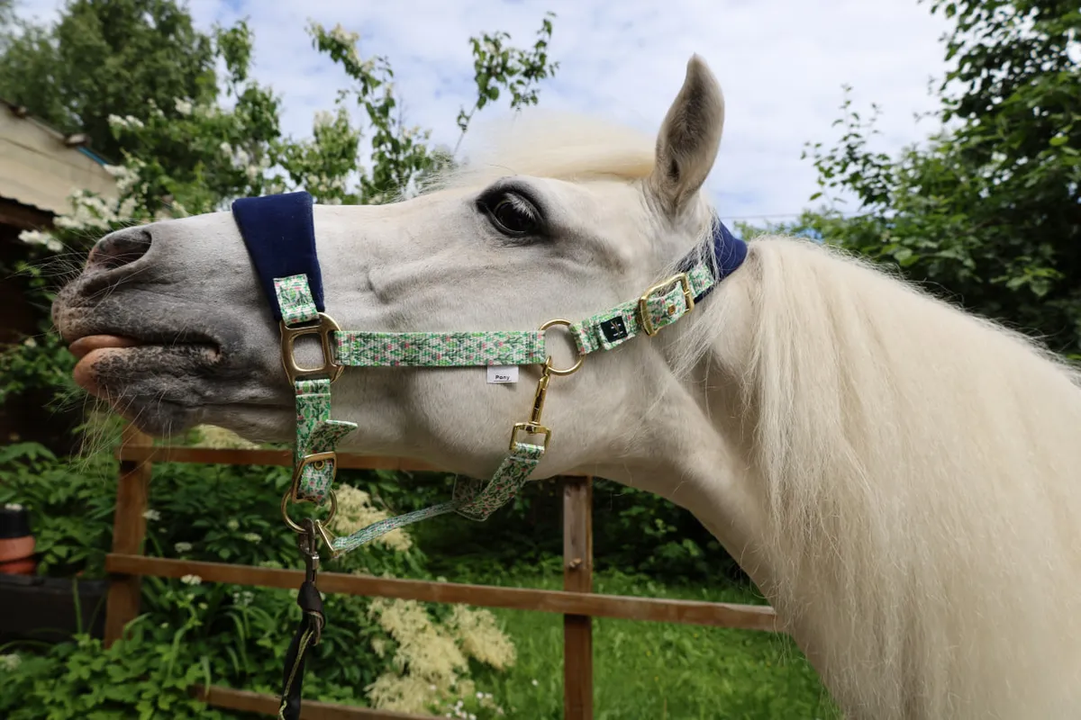 Недоуздок Мелоди HorsePlanet (Pony, Кактусы)