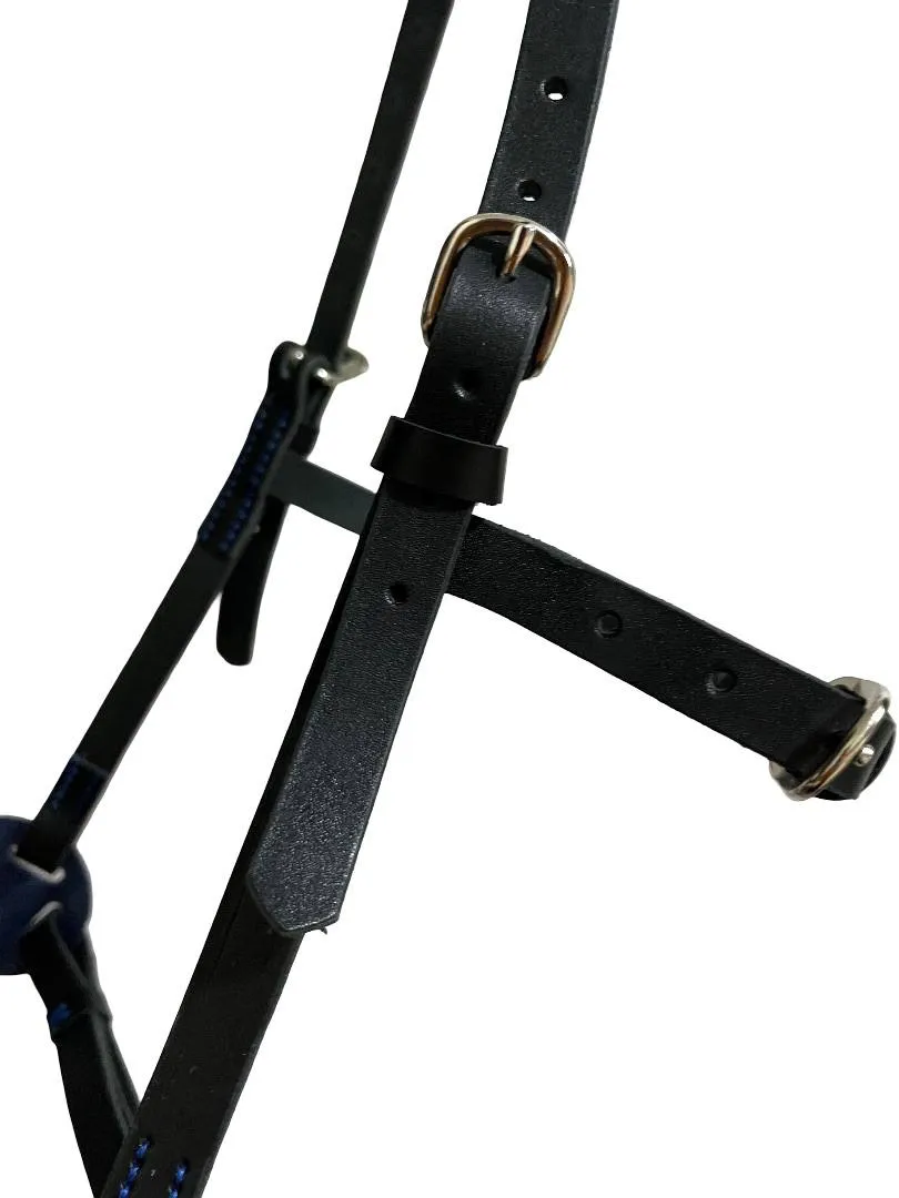 Кавессон с цепью Cob - Full 