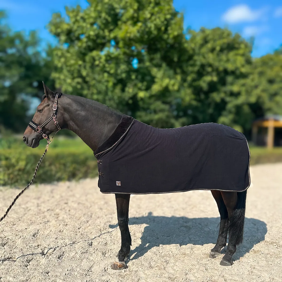 Попона York Gold Star флисовая без ремней черная 135 см