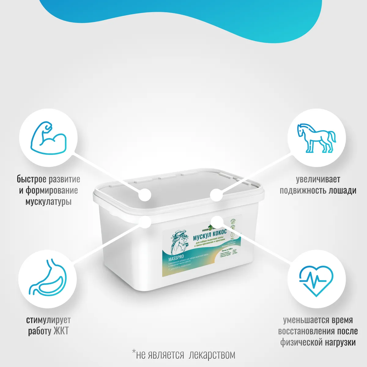 Мускул Кокос MassPro для лошадей MAXI, 2400 г