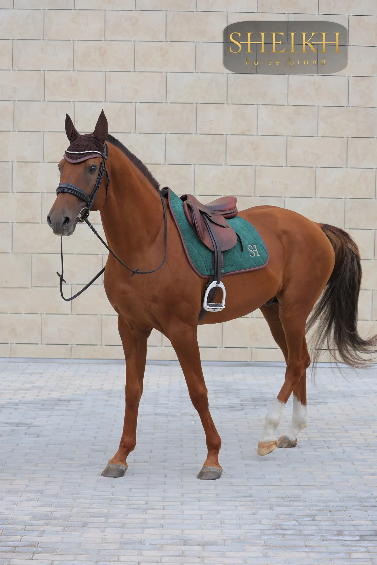 Вальтрап конкурный для верховой езды, конного спорта SHEIKH HORSE BRAND, коллекция FOREST, зеленый