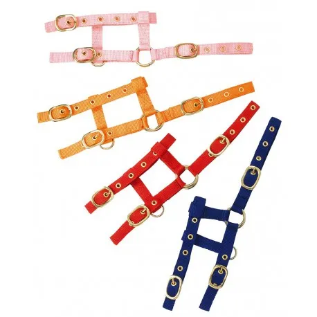 Недоуздок для жеребят