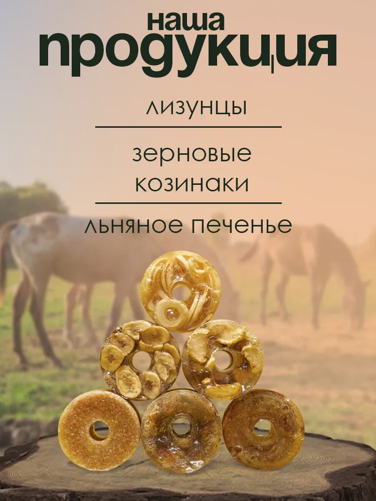 Козинаки овсяные 500гр без сахара PferdEssen