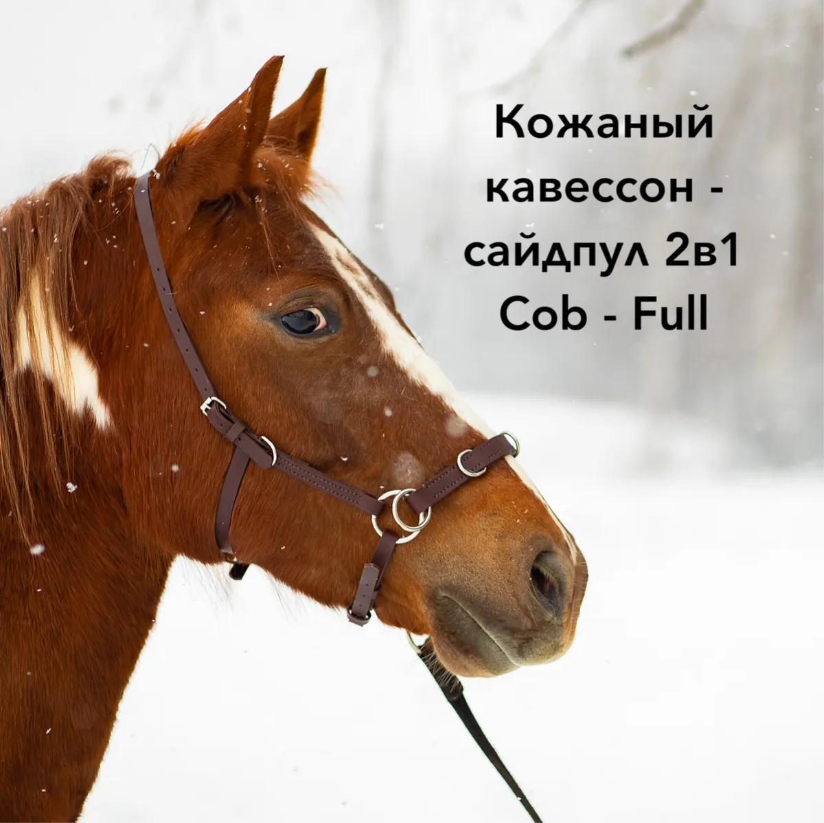 Кавессон Cob - Full 