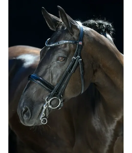 CLARIDGE HOUSE Dressage