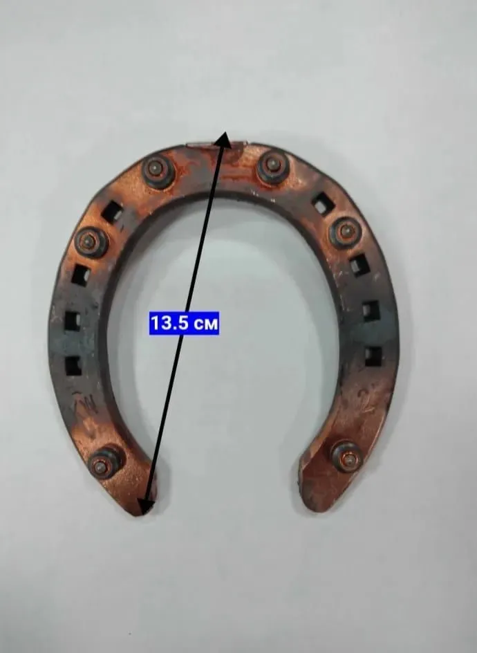 Подкова для прогулок по асфальту, 8*20 mm с 6 шипами, №2, пара