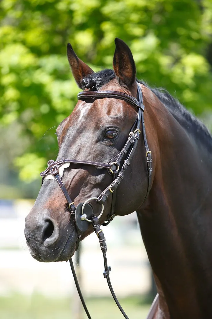 Оголовье с мексиканским капсюлем