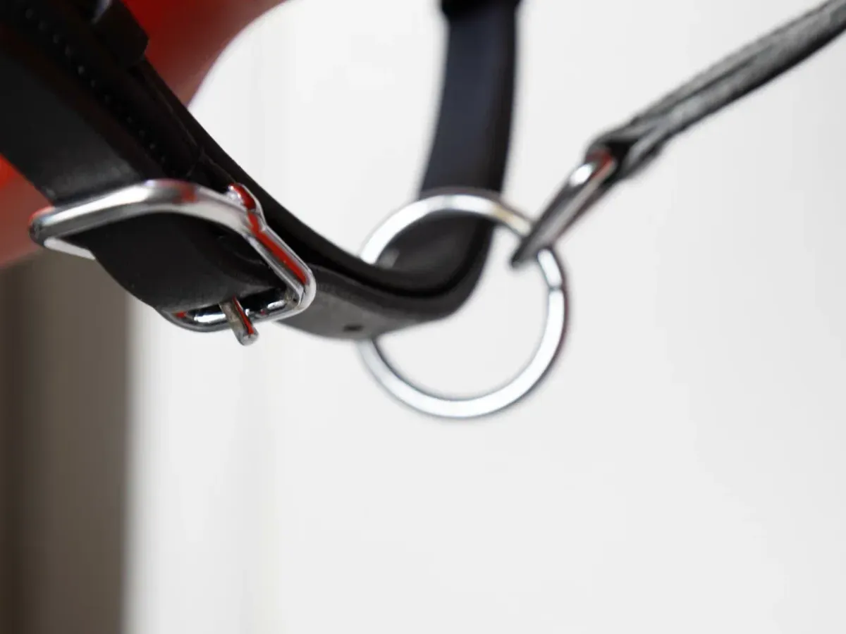 Кожаный недоуздок ECONOM 