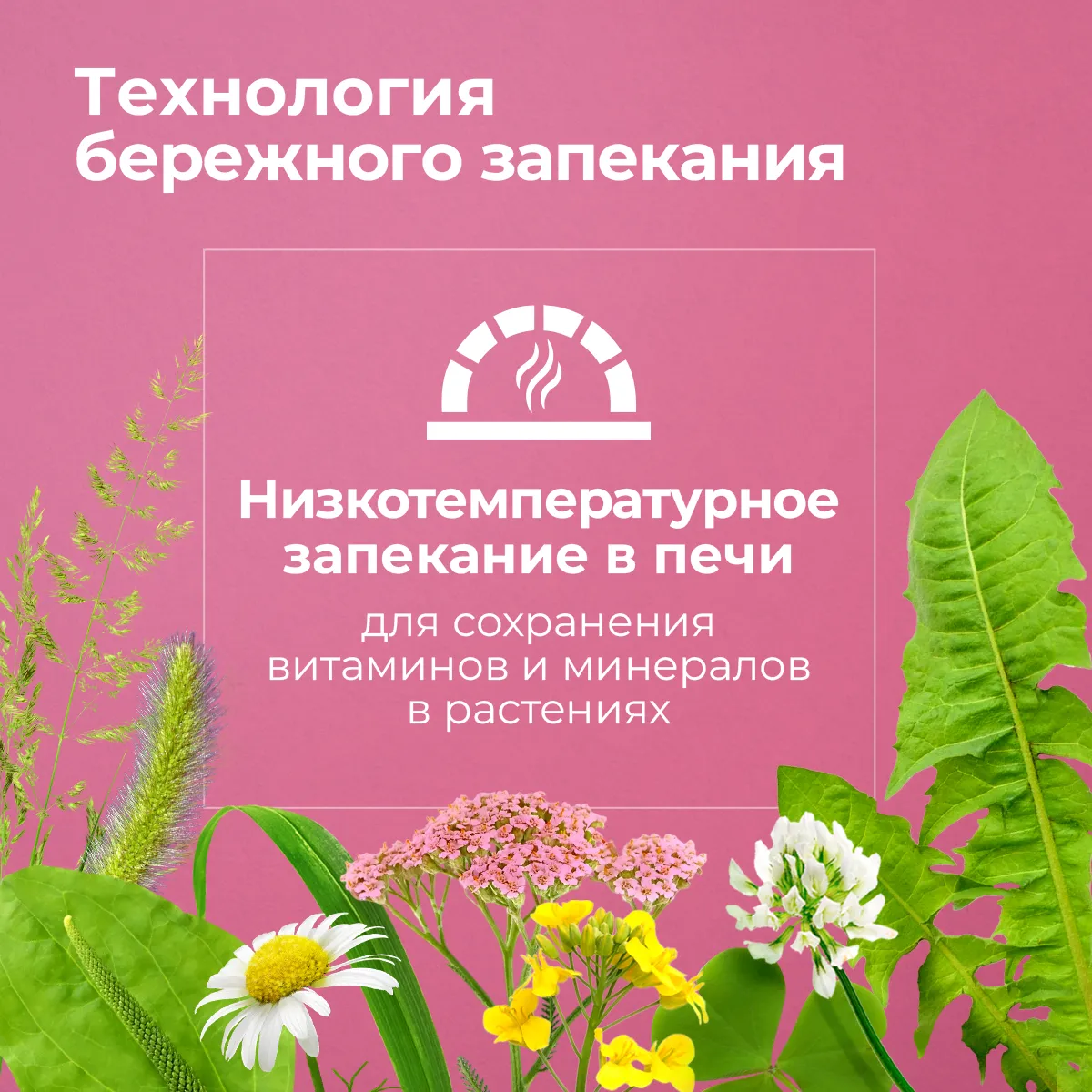 Longside Лакомство для лошадей, укрепляющее доверие. Спелая вишня 4 х 500 г