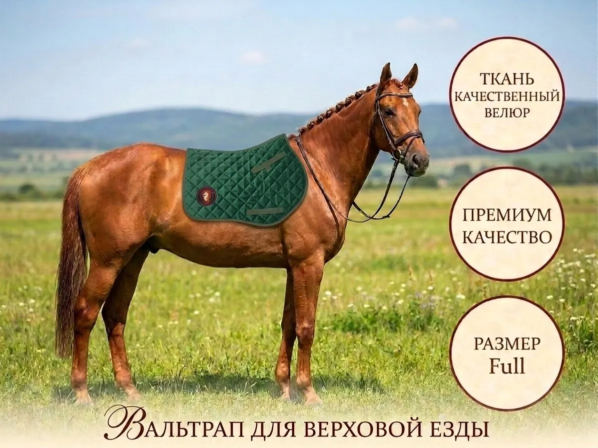 Вальтрап
