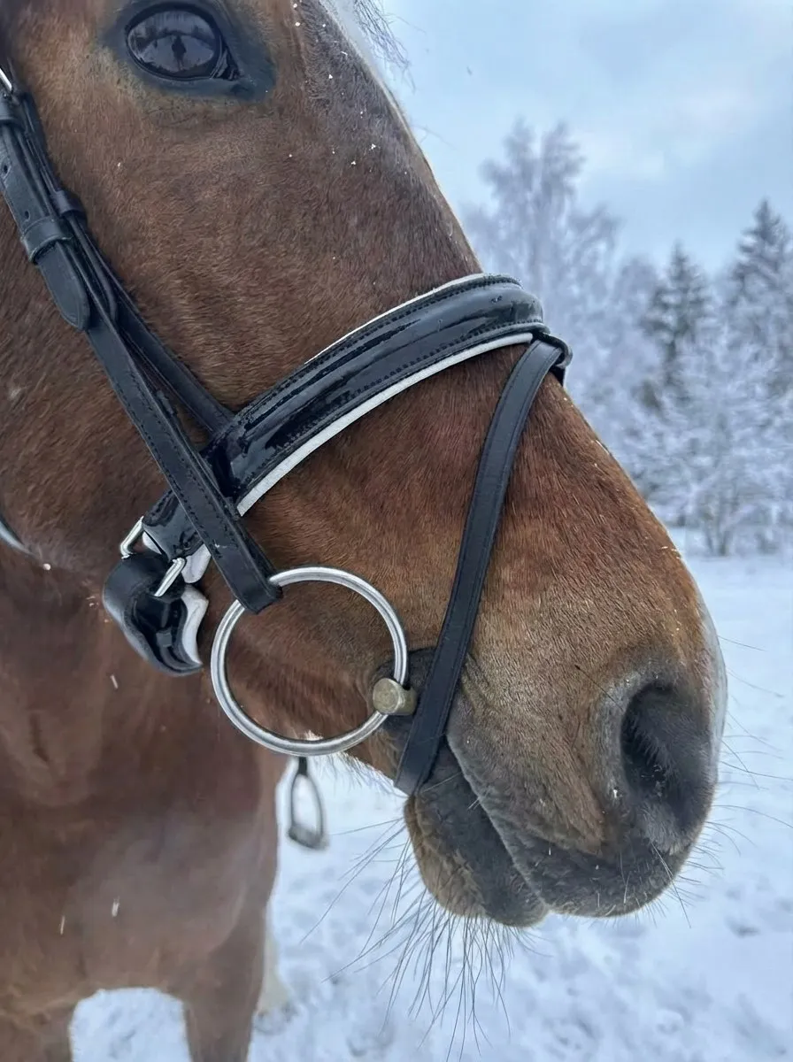 Трензельное оголовье Регина HorsePlanet