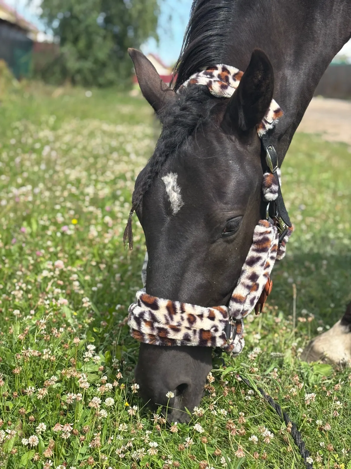 Меховой недоуздок для лошади