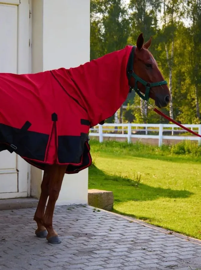 Дождевая попона 145 HorsePlanet