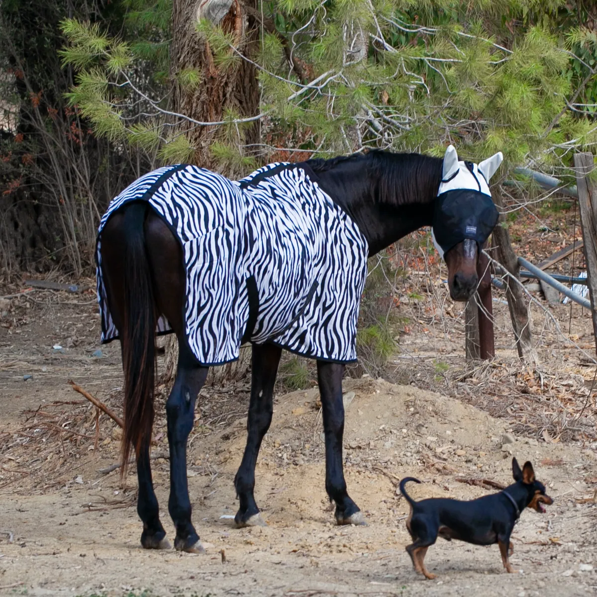 Попона антимоскитная Zebra Print