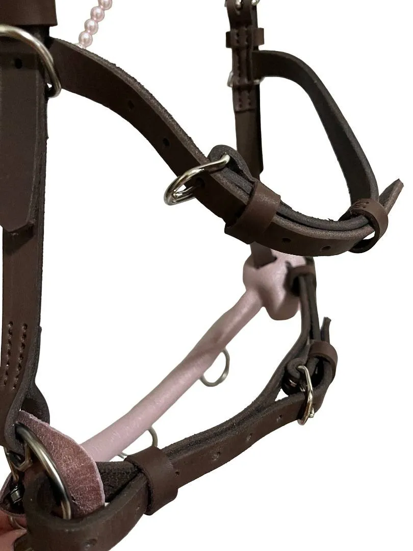 Кавессон с цепью Cob - Full с налобником