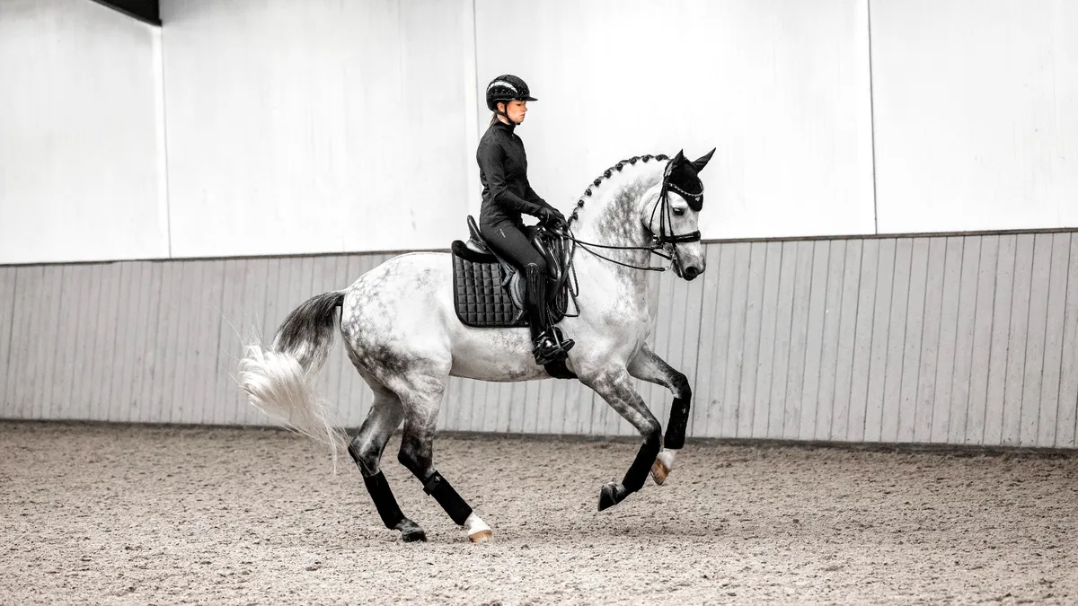 Вальтрап выездковый Loire Satin Black