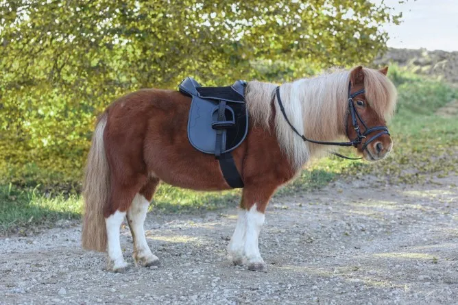 Седло "Economy Pony"