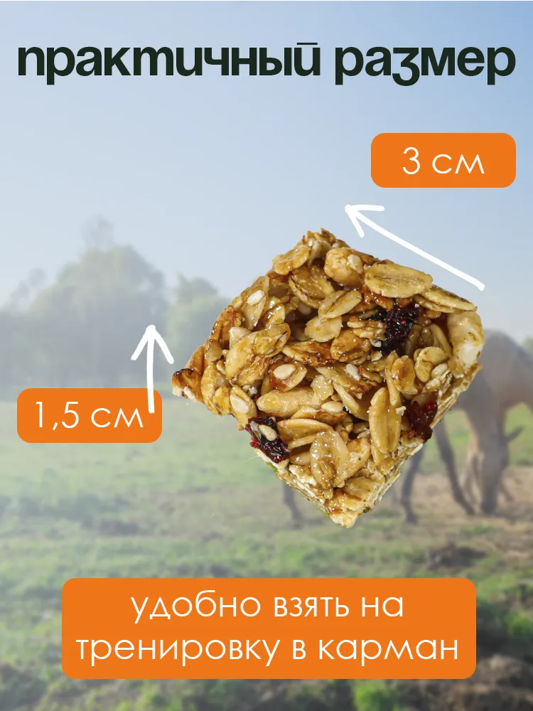 Козинаки овсяные 1,1кг без сахара PferdEssen