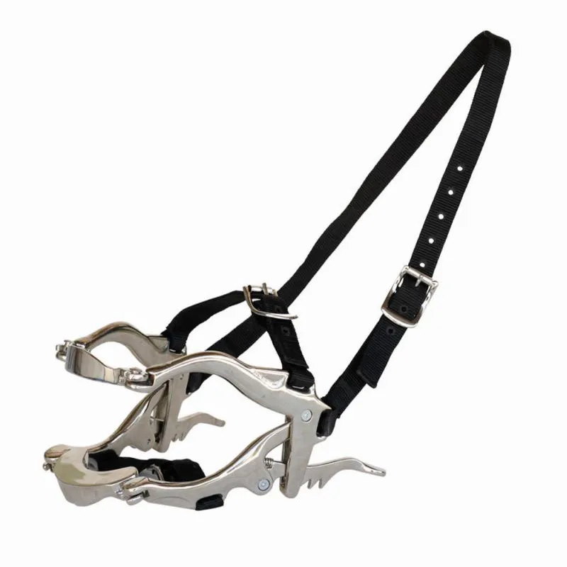 Зевник профессиональный