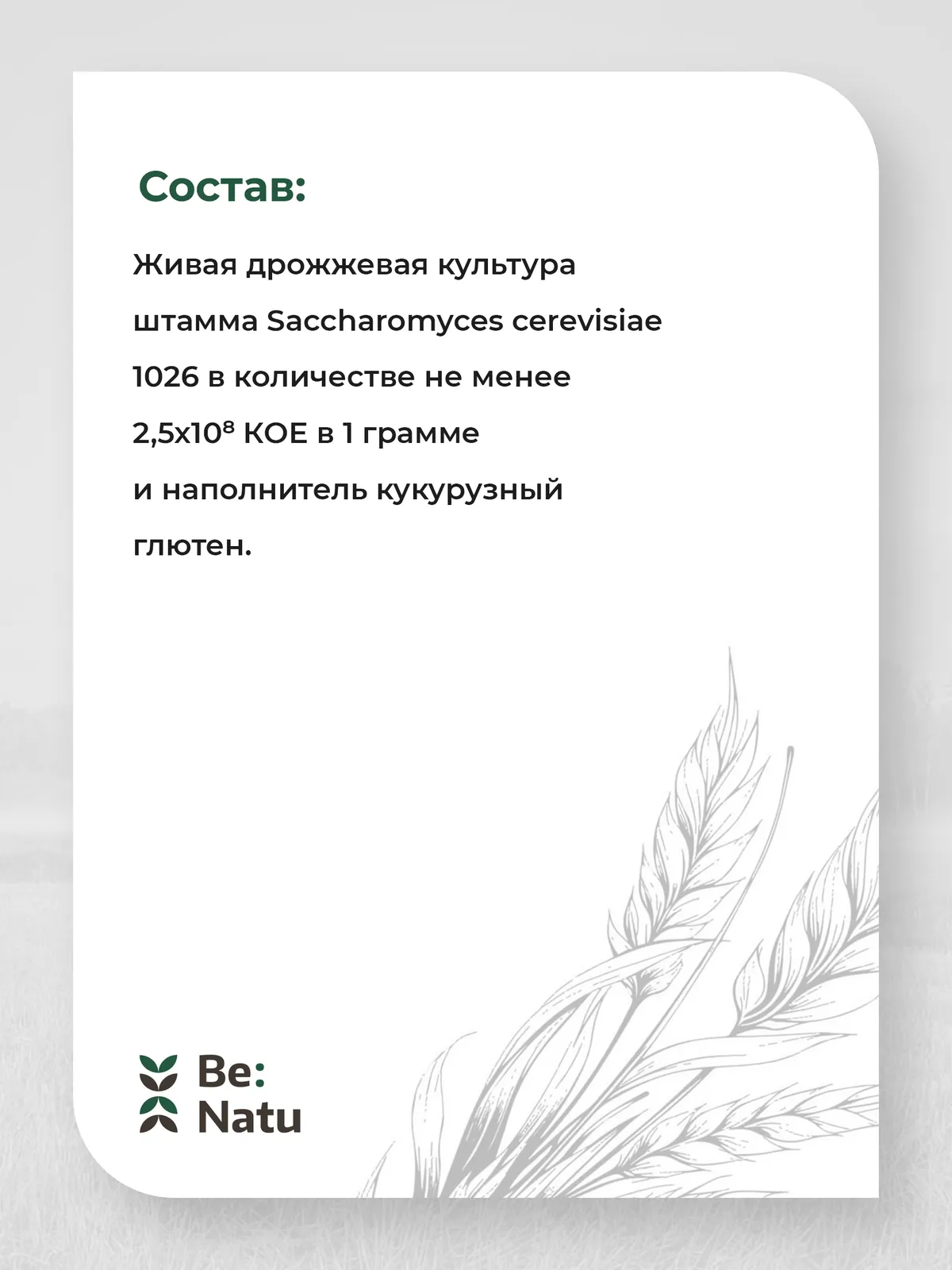 Be:Natu: Yea-Sacc пребиотик для лошадей, 1 кг