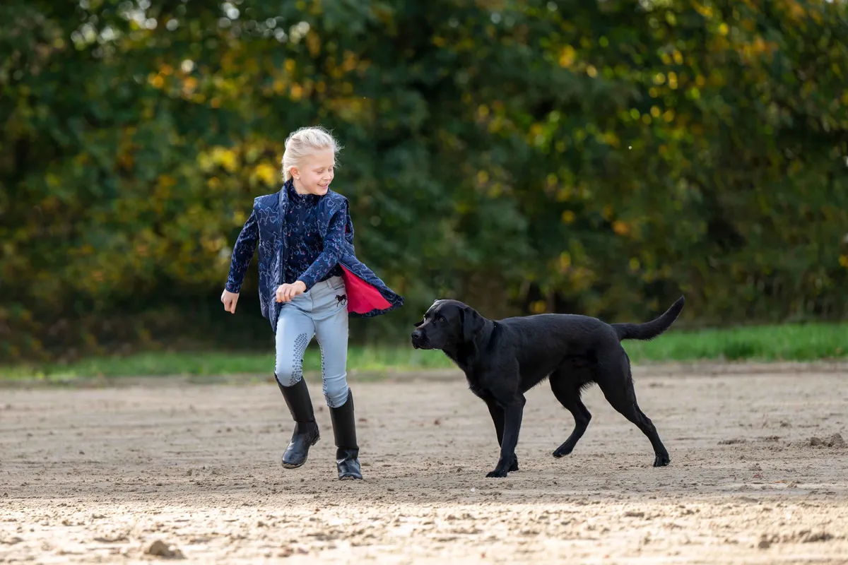 Жилетка детская с лошадками и светоотражающими элементами, размер 146/152 см. цвет темно-синий