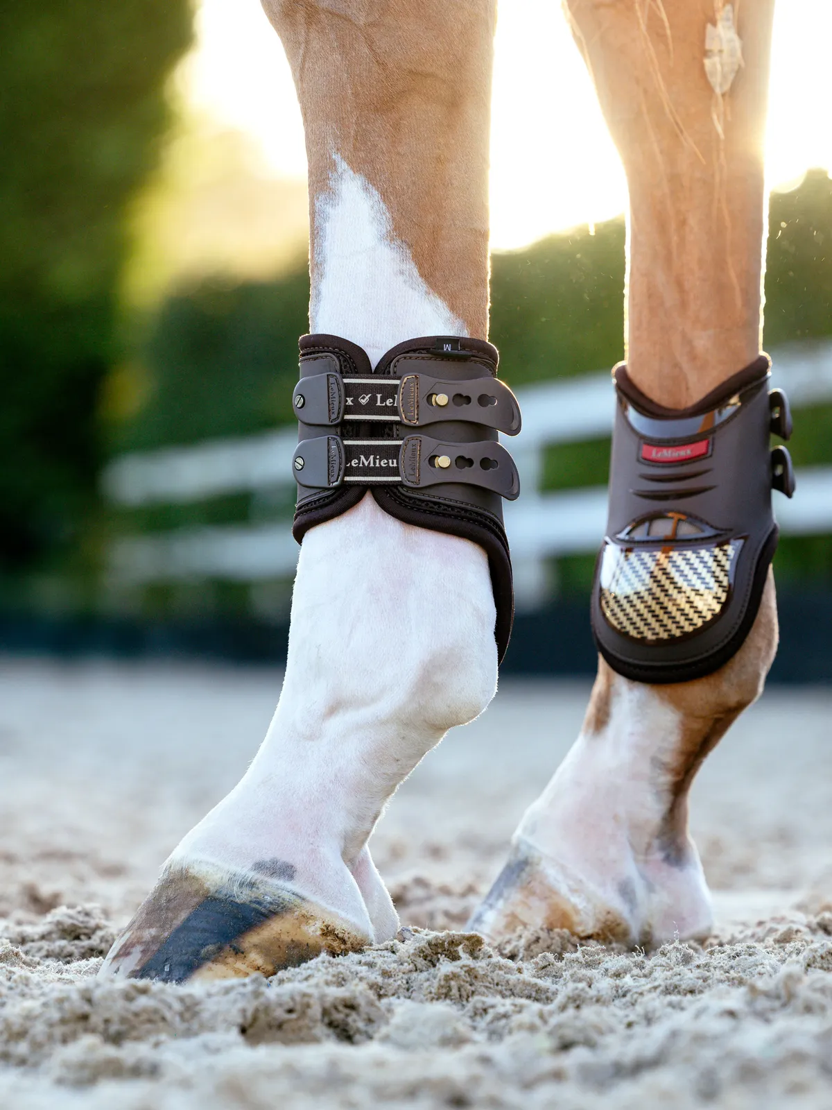 Ногавки на винтах Exo-Flex LeMieux коричнево-золотые Full стан 4 шт.