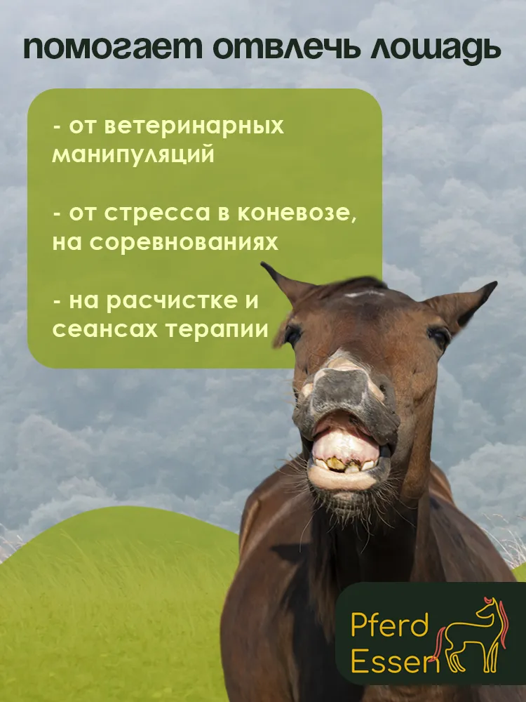 Лизунец (ликит) без сахара фенхелевый 670гр PferdEssen