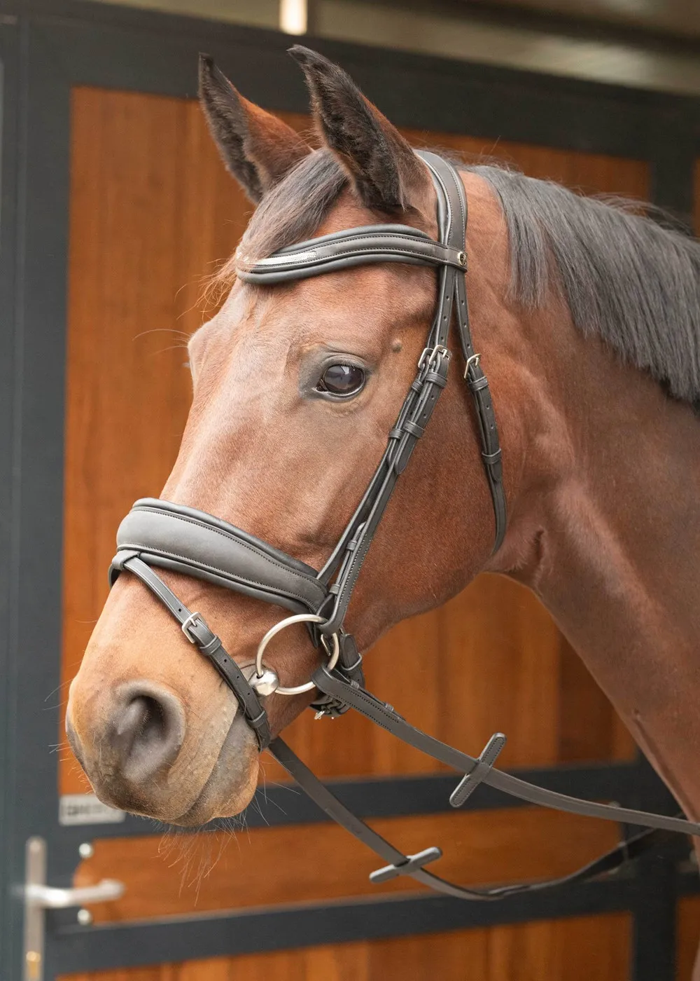 Уздечка со шведским капсюлем Soft Bombastic от Harry's Horse